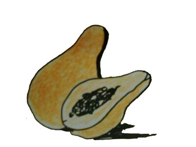 PAPAYA
